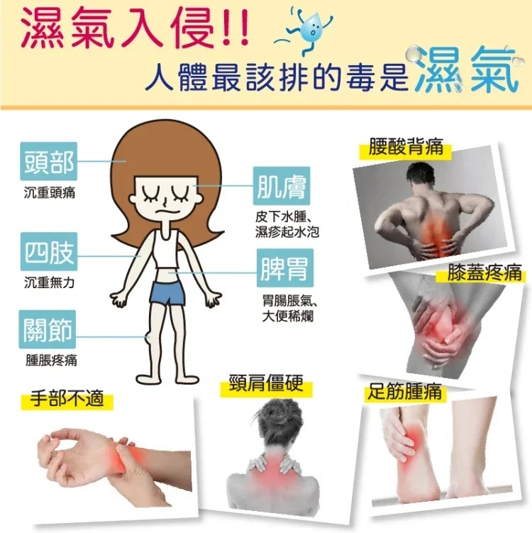 1694089727892527.png 5d0c17fdd9ebb9fe0bd93d11bdaf36b.png