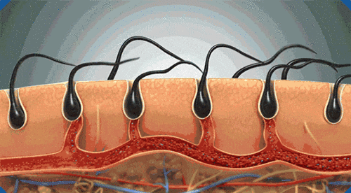 1699533972199243.gif 6.gif