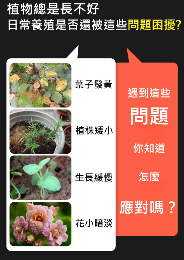 1701334451671018.png 638b316f8afd32bc1861ec81c8a9639.png