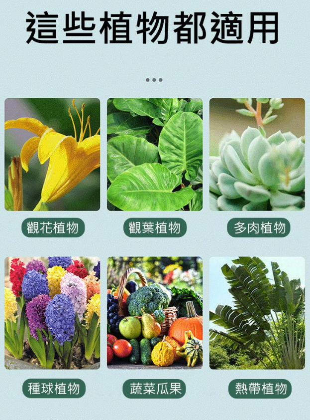 1701334457600172.png aeef37148b4da68e48c4f66f0b00b68.png