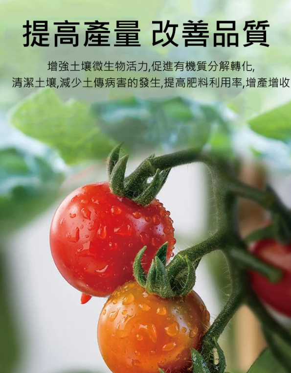 1701334492959828.png 07082066f53d3f9ed883f203997cd76.png