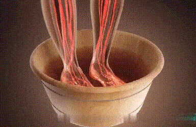 1702545257300261.gif 3.gif