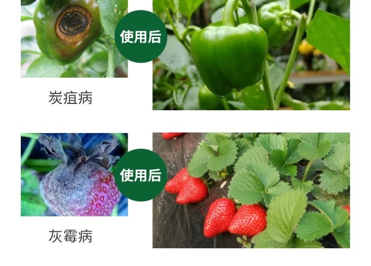 1704714938630256.jpg 10_20230925151702_891.jpg