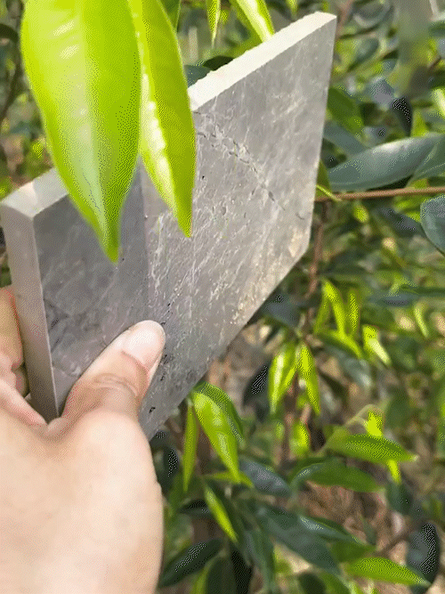 德國精鋼快開折疊刀 火爆熱銷中！ 輕便多用，隨身攜帶，助您應對各種情況！折疊刀是壹種便攜式多功能刀具！