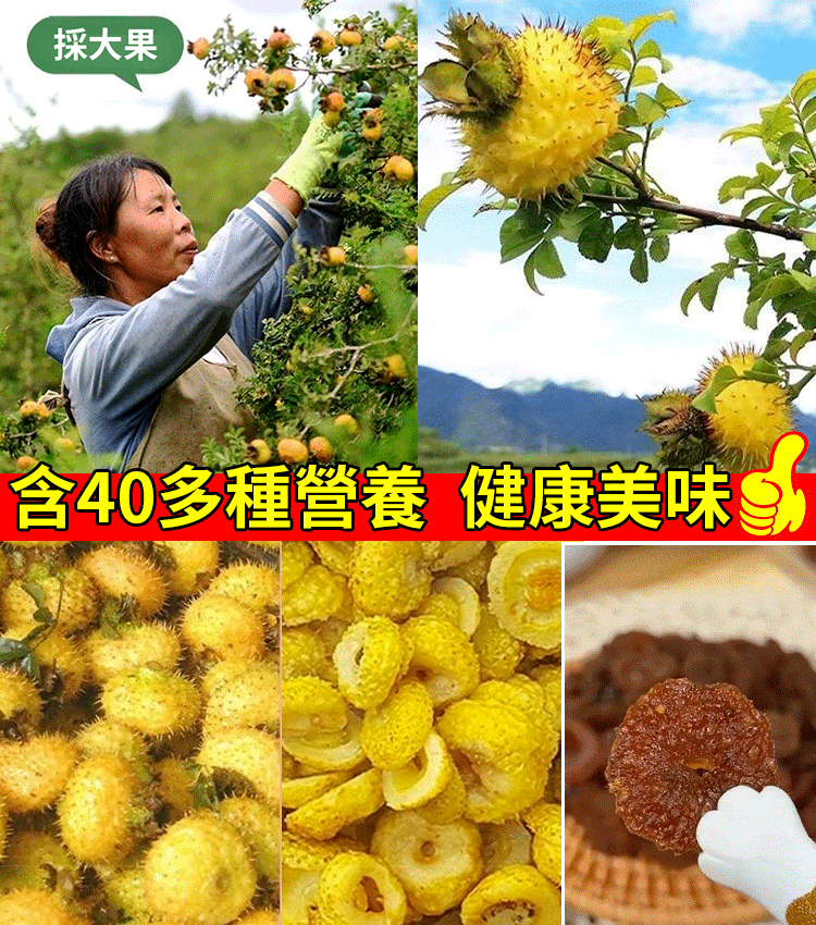 【台中東新特產 】維C之王刺梨乾果脯蜜餞 口感清香甘甜 老少皆宜 純乾果無添加 降血糖 清血脂 補氣