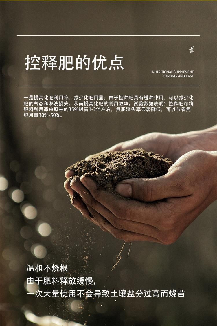 1727998829737357.jpg 0b97c842770647d1948163ad18f99bcc_20240929204844_911.jpg