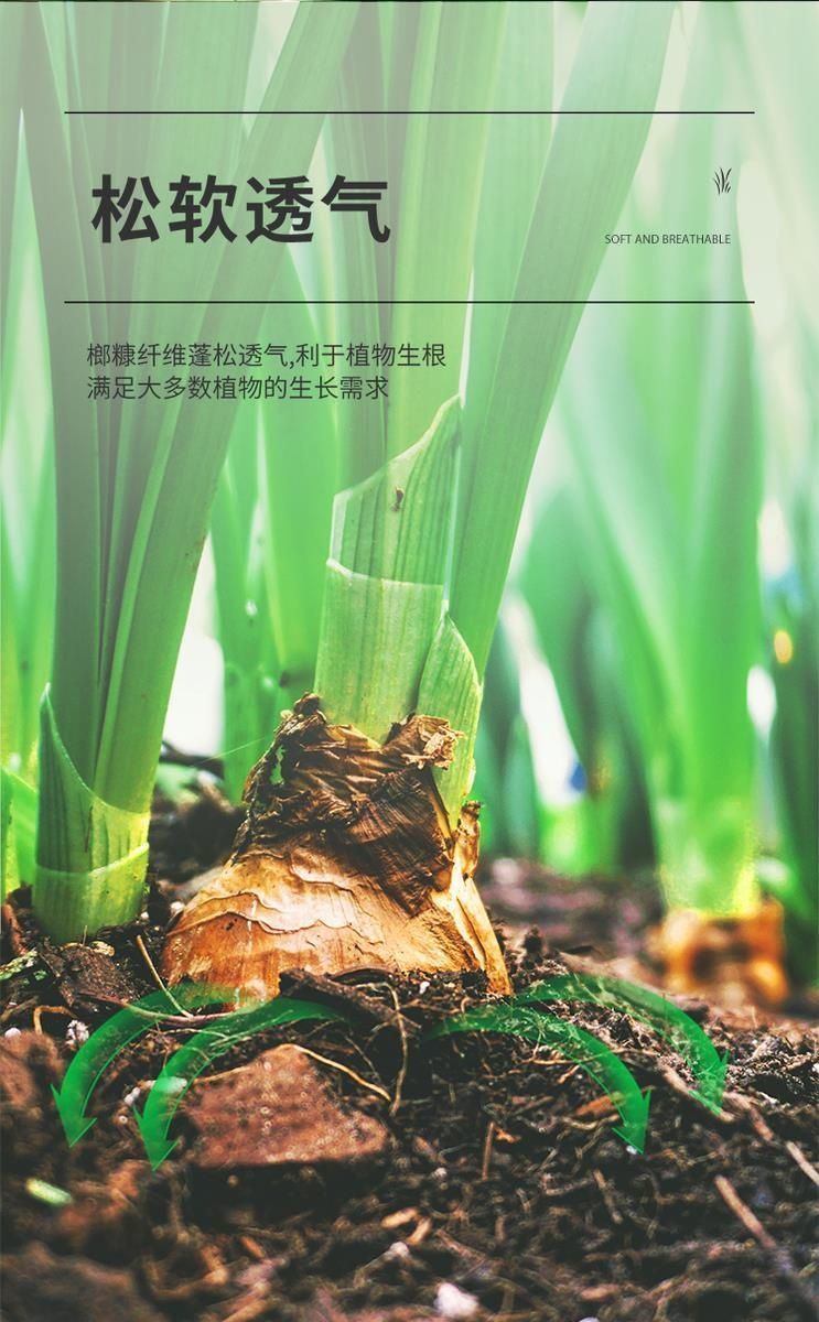 1727998837253791.jpg ec71c29e8ec84e77af1c774f66a3fde2_20240929204845_184.jpg